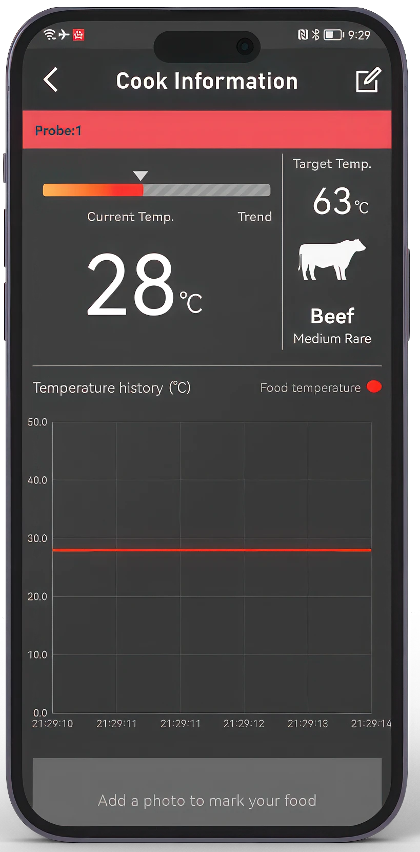 HerQs Professional Thermometer - Afbeelding 3