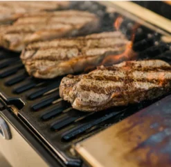 Masterbuilt Portable Charcoal Grill -Big Green Egg Shop image 377